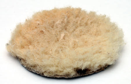 Powder puff