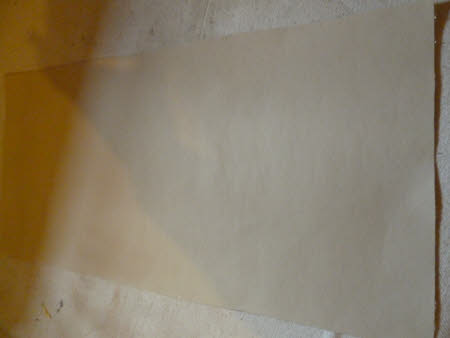 Paint sample