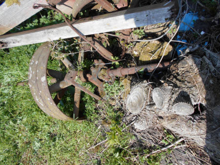 Pulley wheel