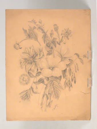 Pencil drawing