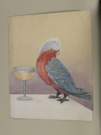 Parrot and Wineglass