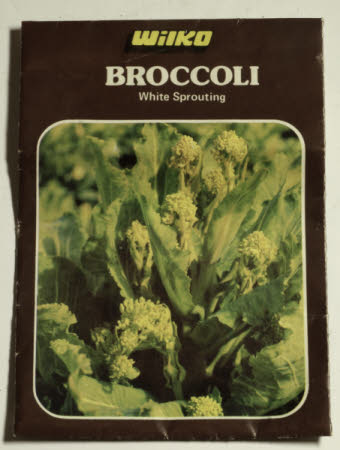 Seed packet