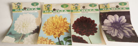 Seed packet