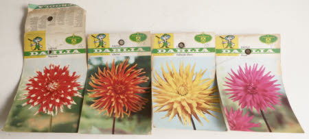Seed packet
