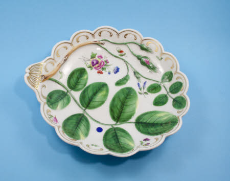 Shell dish