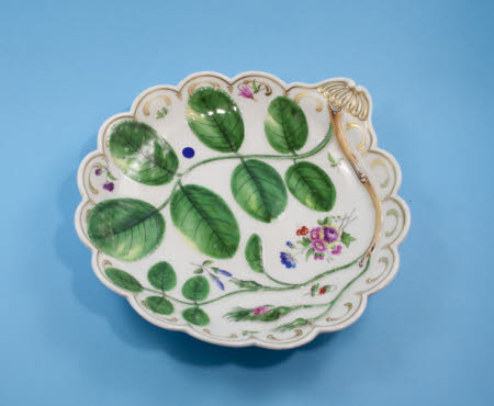 Shell dish