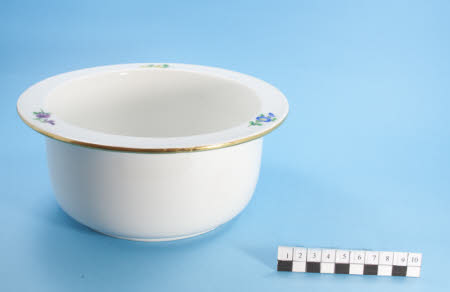 Ice pail liner