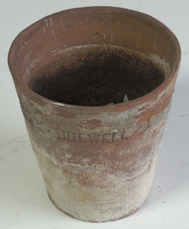 Plant pot