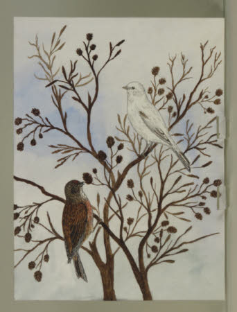 Unidentified pair of Birds