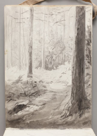 Beatrix Potter Gallery © National Trust / Robert Thrift