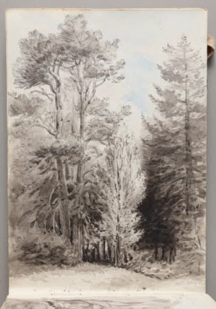 Beatrix Potter Gallery © National Trust / Robert Thrift