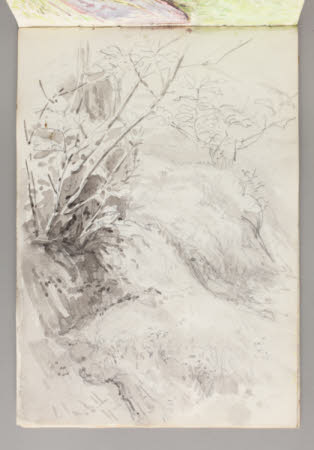 Beatrix Potter Gallery © National Trust / Robert Thrift