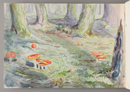 Beatrix Potter Gallery © National Trust / Robert Thrift