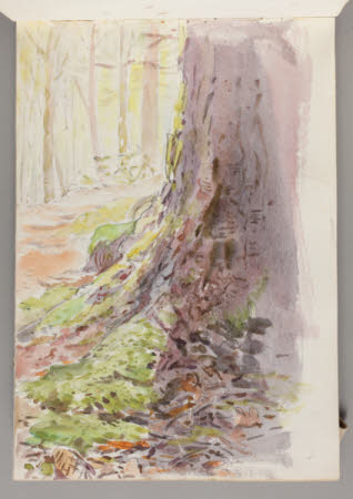 Beatrix Potter Gallery © National Trust / Robert Thrift