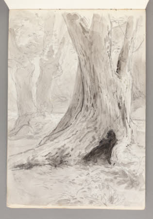 Beatrix Potter Gallery © National Trust / Robert Thrift