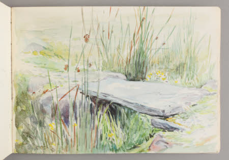 Beatrix Potter Gallery © National Trust / Robert Thrift