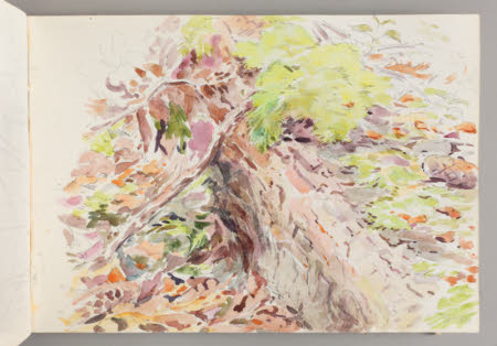 Beatrix Potter Gallery © National Trust / Robert Thrift