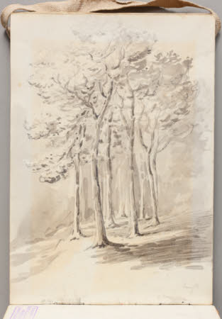 Beatrix Potter Gallery © National Trust / Robert Thrift