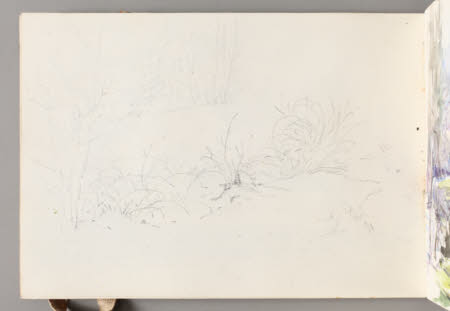Beatrix Potter Gallery © National Trust / Robert Thrift