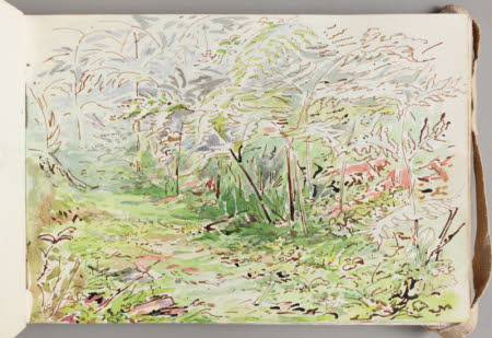 Beatrix Potter Gallery © National Trust / Robert Thrift