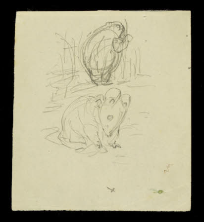 The Tale of Mrs Tittlemouse
