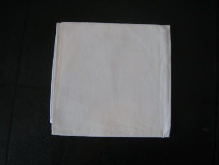 Napkin