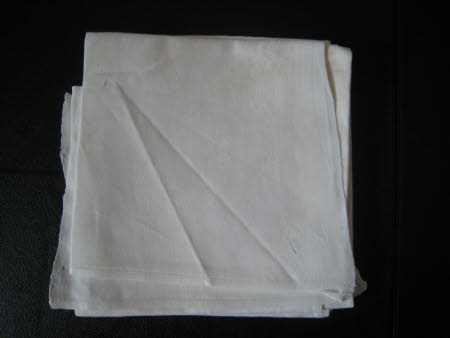 Napkin