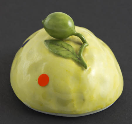 Bowl cover
