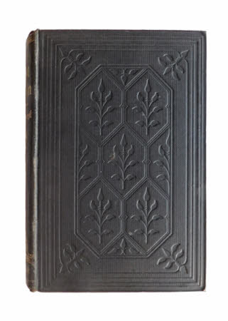 The first violin . a novel by Jessie Fothergill.