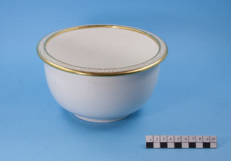 Ice pail liner