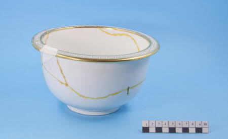 Ice pail liner