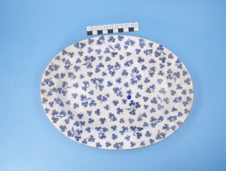 Oval dish