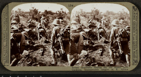 Stereograph card