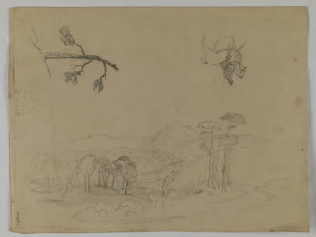 Various Studies