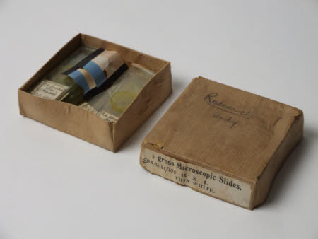 Microscope slide