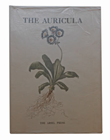 The auricula :. its history and character