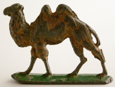 Camel