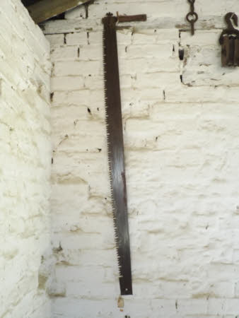 Crosscut saw