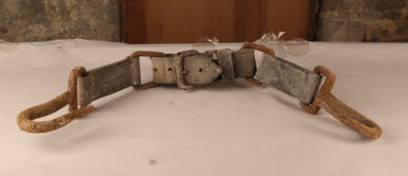 Harness strap