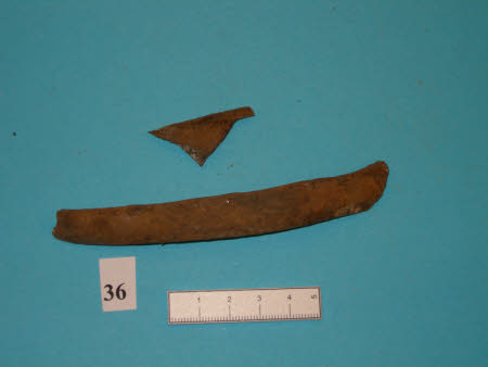 Bone fragment