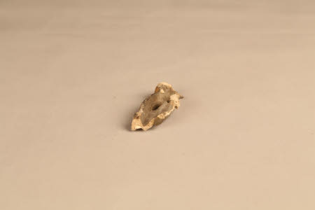 Plasterwork fragment
