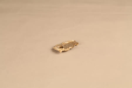 Plasterwork fragment
