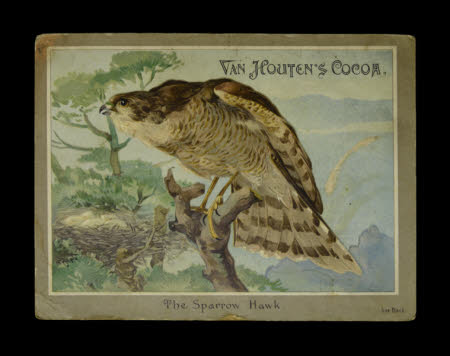 Advertising ephemera