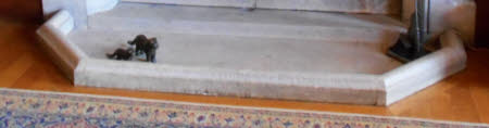Hearth kerb