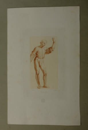 A young man (after Raphael)