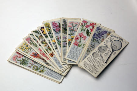 Tea card
