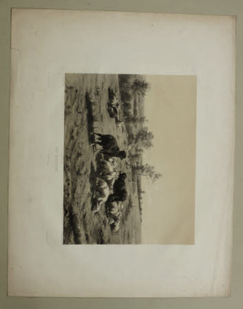 Les Moutons (after Rosa Bonheur)