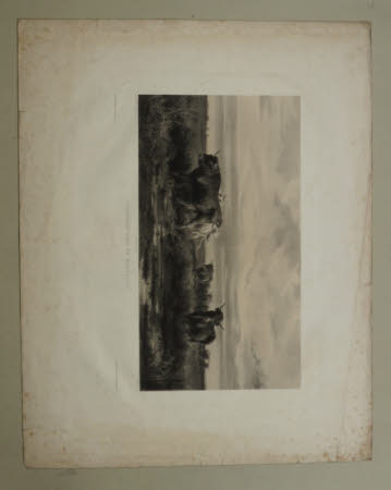Troupeau dans un Marecage (after Rosa Bonheur)