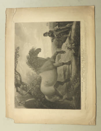 A cart-horse named 'Elephant' (after Robert Dodd)