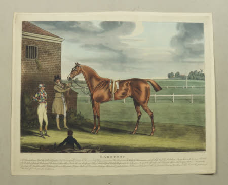 'Barefoot': a chestnut horse bred by Gilbert Crompton Esq in 1820